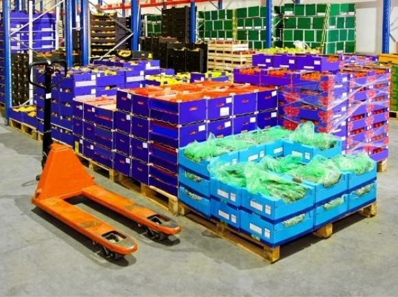 Kho Lạnh Trái Cây