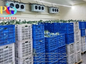 Kho lạnh bảo quản