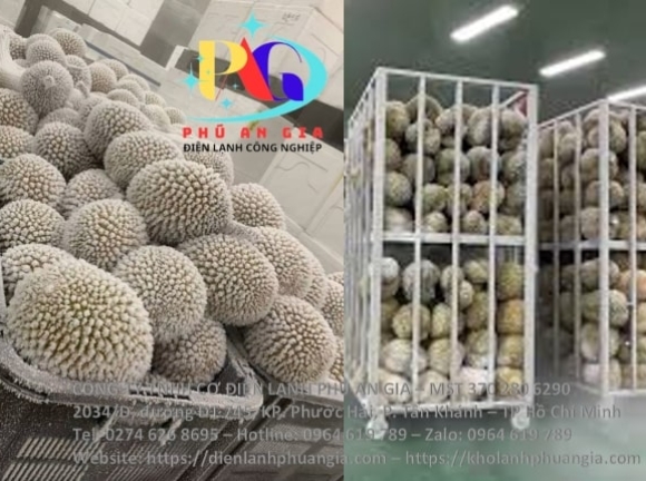 Kho cấp đông sầu riêng