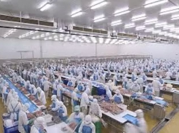 Kho Lạnh Bình Dương