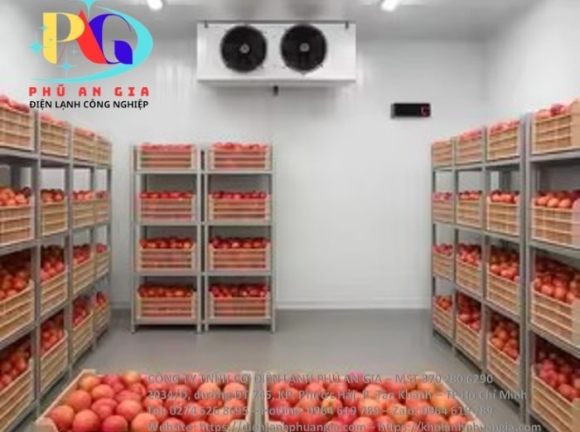 Kho Lạnh Trái Cây