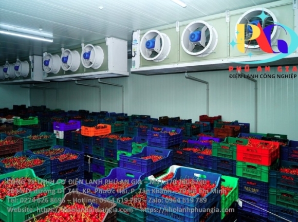 Kho Lạnh Trái Cây