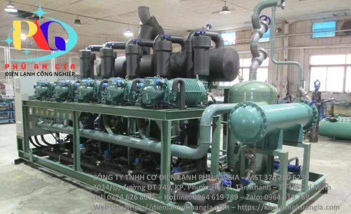 Kho cấp đông sầu riêng