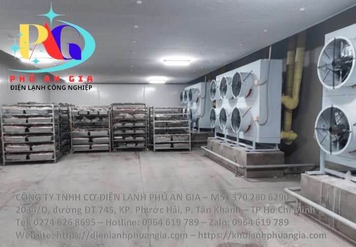 Kho cấp đông nhanh