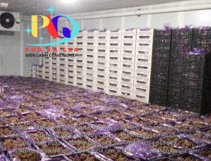 Kho lạnh bảo quản